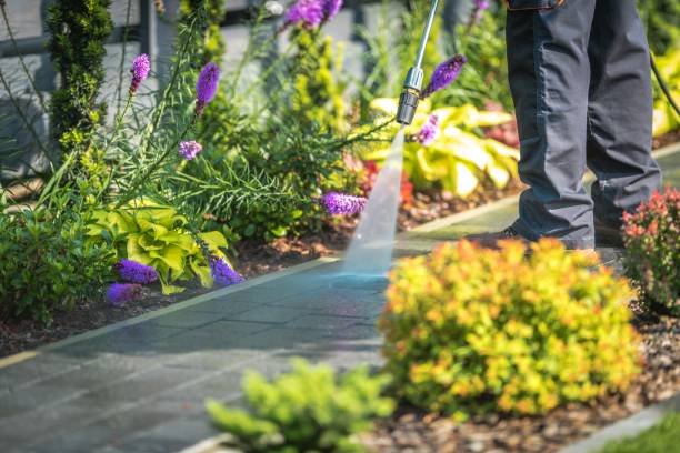 Best Restaurant Pressure Washing  in Jerome, IL